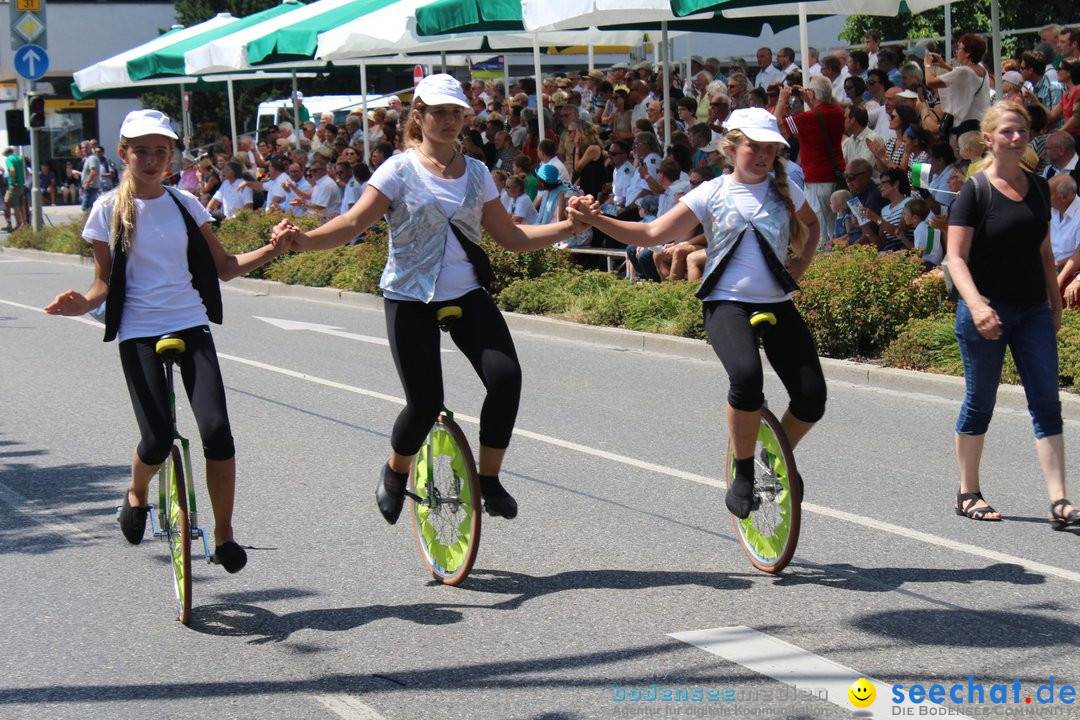 70. Seehasenfest mit Umzug: Friedrichshafen am Bodensee, 15.07.2018