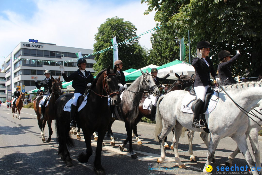 70. Seehasenfest mit Umzug: Friedrichshafen am Bodensee, 15.07.2018