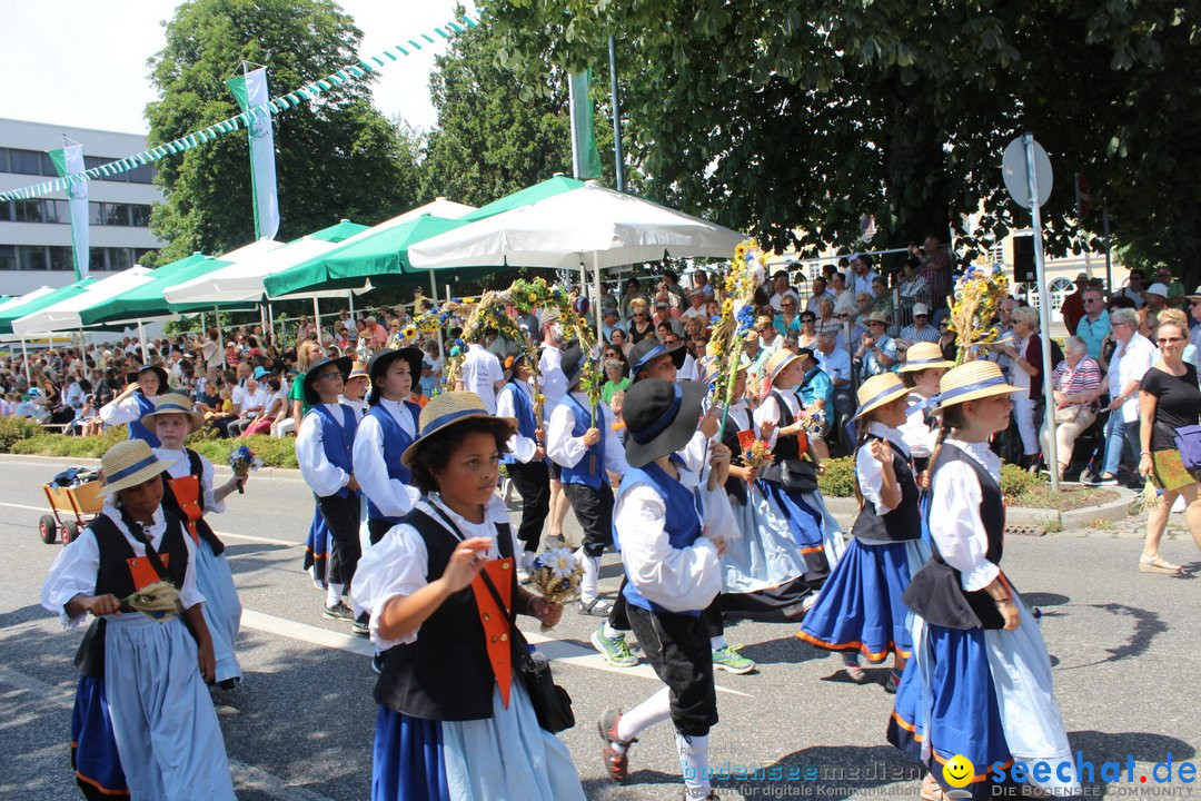 70. Seehasenfest mit Umzug: Friedrichshafen am Bodensee, 15.07.2018