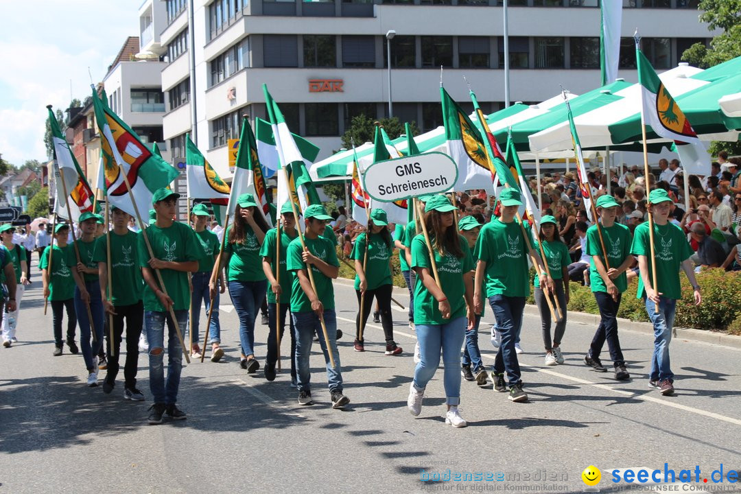 70. Seehasenfest mit Umzug: Friedrichshafen am Bodensee, 15.07.2018