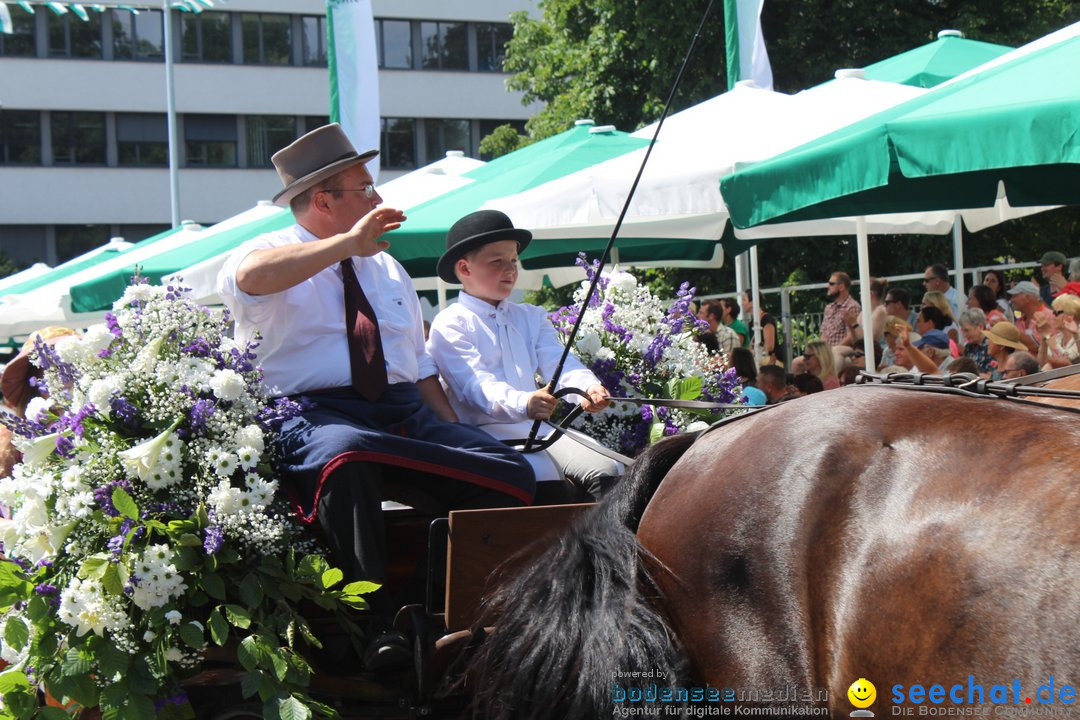 70. Seehasenfest mit Umzug: Friedrichshafen am Bodensee, 15.07.2018