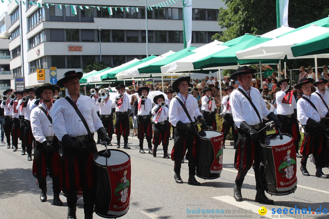 70. Seehasenfest mit Umzug: Friedrichshafen am Bodensee, 15.07.2018