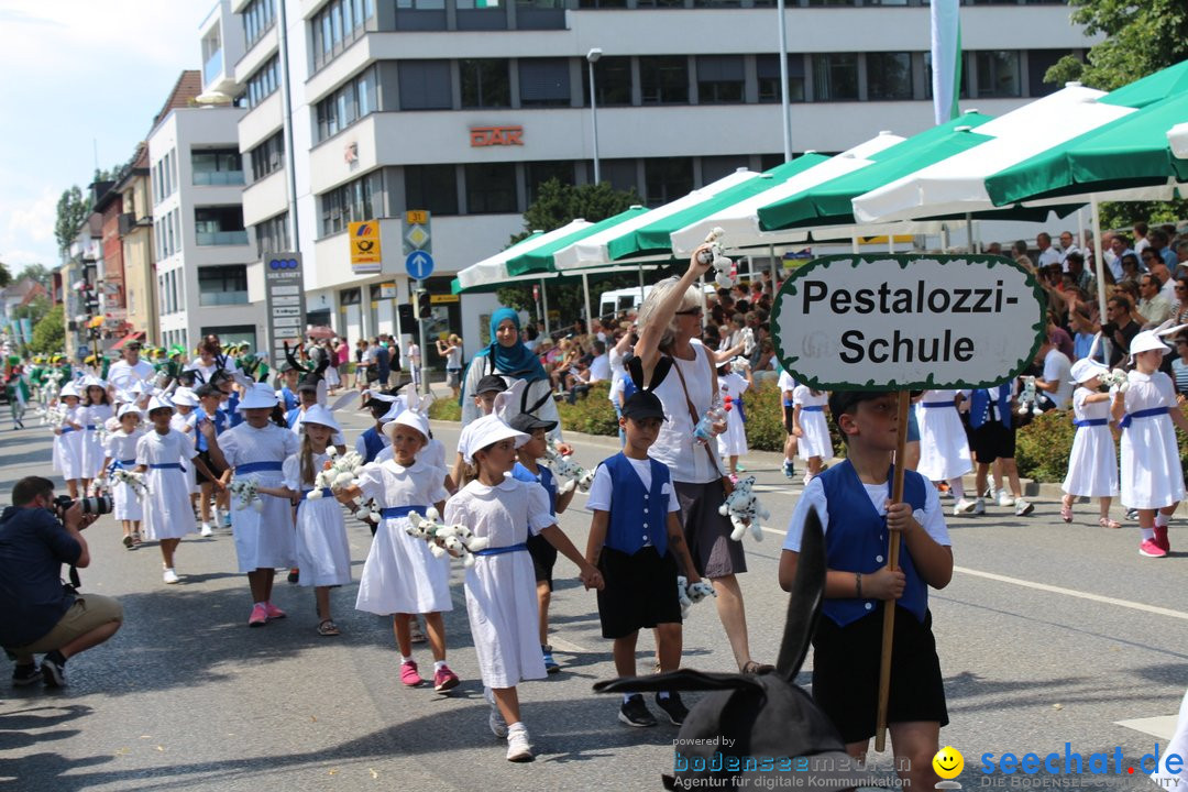 70. Seehasenfest mit Umzug: Friedrichshafen am Bodensee, 15.07.2018