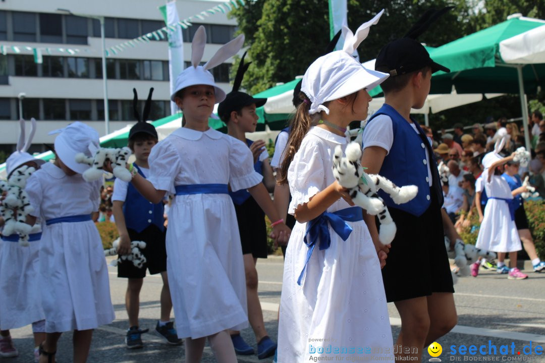 70. Seehasenfest mit Umzug: Friedrichshafen am Bodensee, 15.07.2018