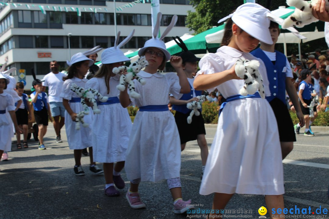 70. Seehasenfest mit Umzug: Friedrichshafen am Bodensee, 15.07.2018