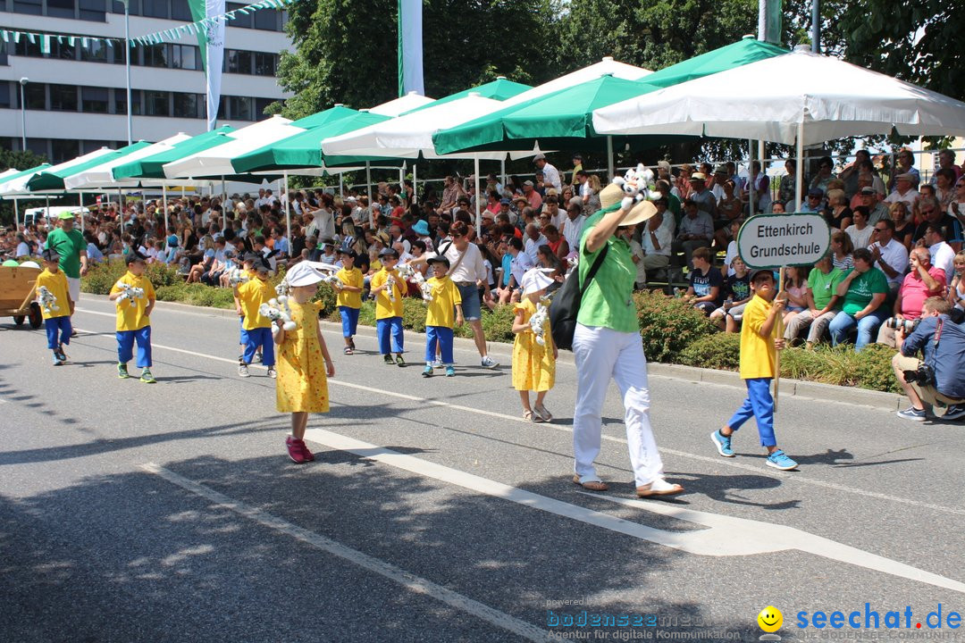 70. Seehasenfest mit Umzug: Friedrichshafen am Bodensee, 15.07.2018