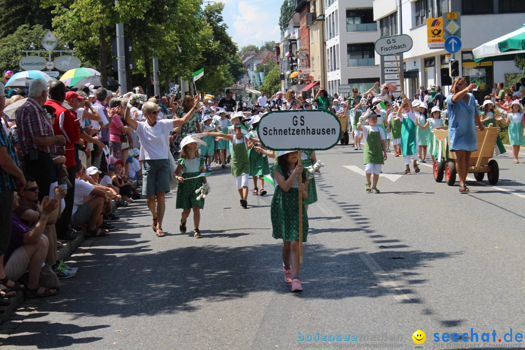 70. Seehasenfest mit Umzug: Friedrichshafen am Bodensee, 15.07.2018