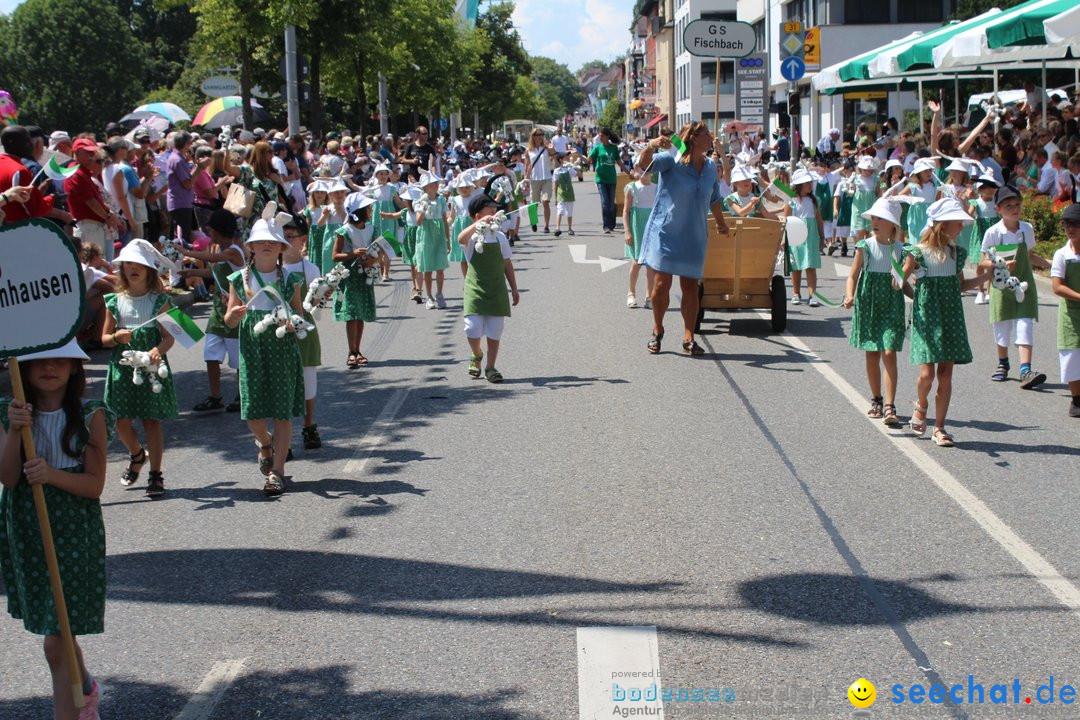 70. Seehasenfest mit Umzug: Friedrichshafen am Bodensee, 15.07.2018