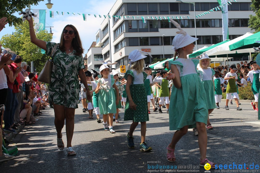 70. Seehasenfest mit Umzug: Friedrichshafen am Bodensee, 15.07.2018