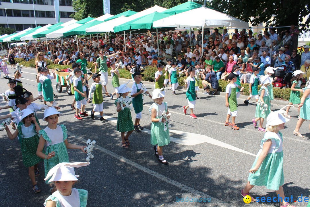 70. Seehasenfest mit Umzug: Friedrichshafen am Bodensee, 15.07.2018