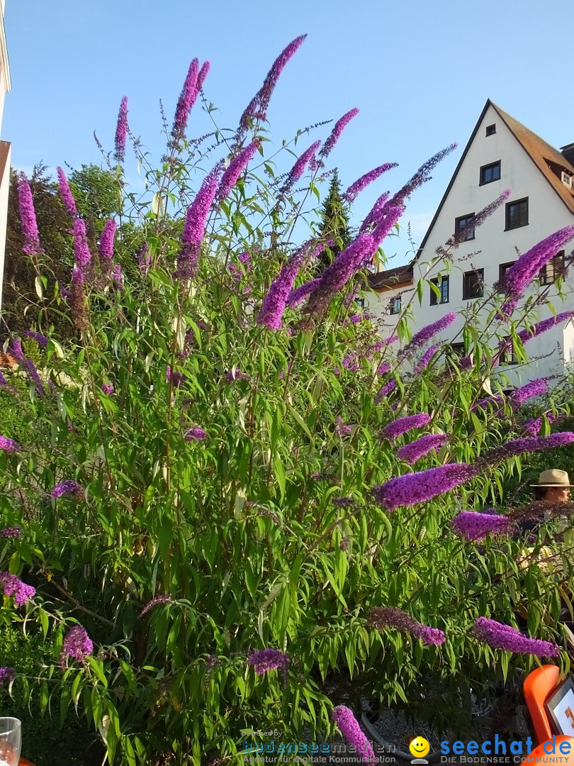 40 Jahre Haengegarten: Neufra, 14.07.2018