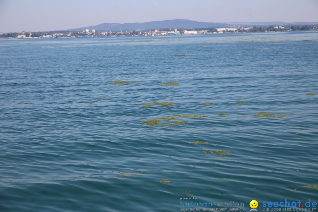 BODENSEEBOOT Breitenquerung, Meenakshi Pahuja: Friedrichshafen, 26.07.2018