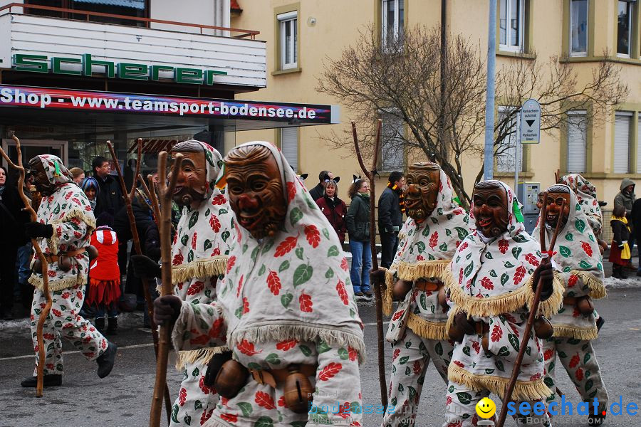 Narrensprung 2010, Friedrichshafen, 13.02.2010