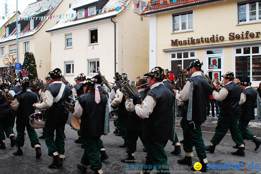 Narrensprung 2010, Friedrichshafen, 13.02.2010