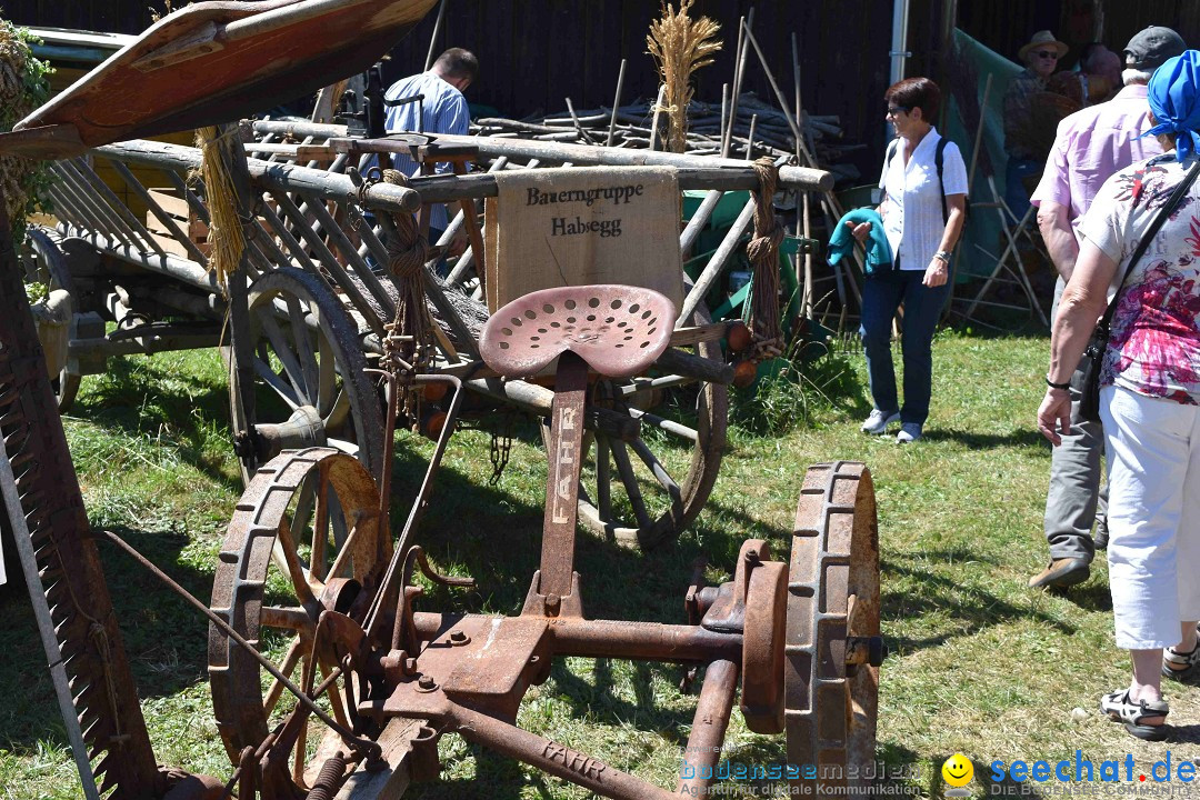 Dorffest: Rot an der Rot, 11.08.2018