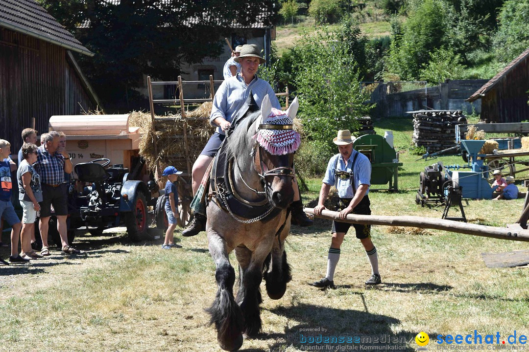 Dorffest: Rot an der Rot, 11.08.2018