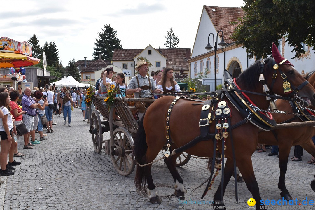 Dorffest: Rot an der Rot, 11.08.2018