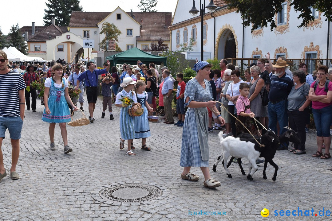 Dorffest: Rot an der Rot, 11.08.2018