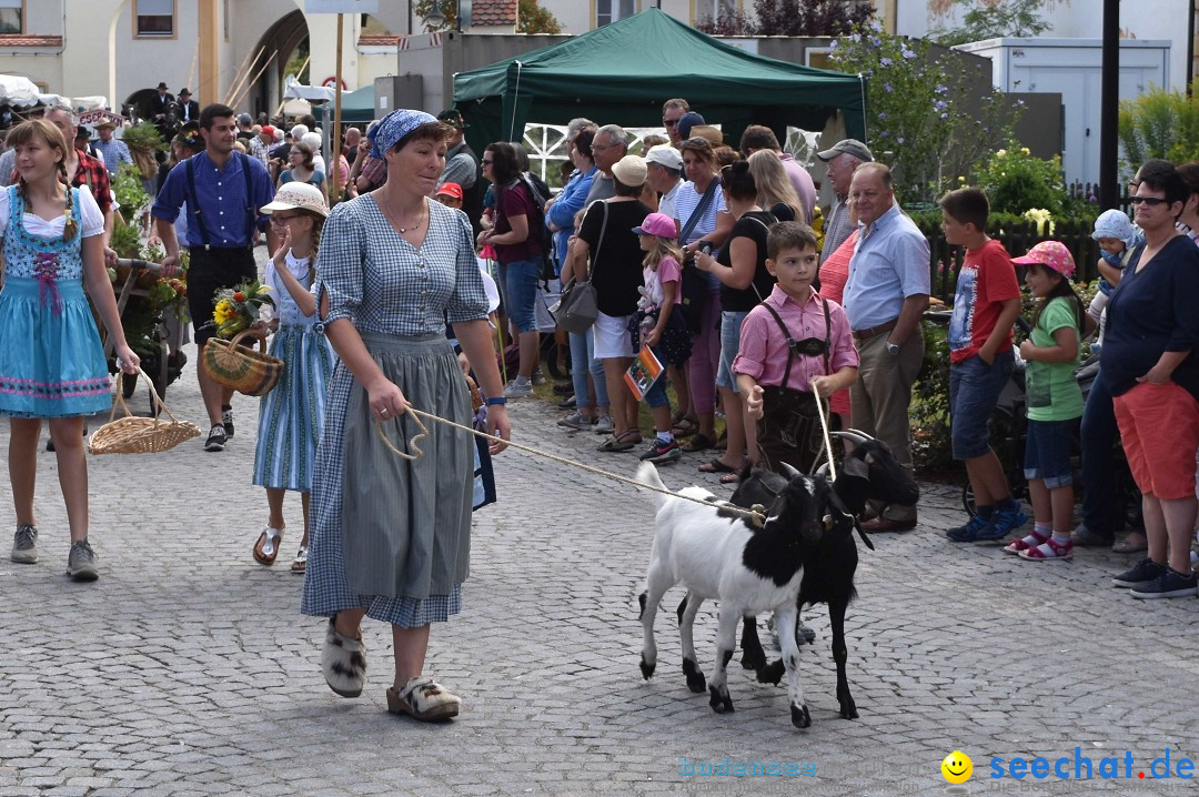 Dorffest: Rot an der Rot, 11.08.2018