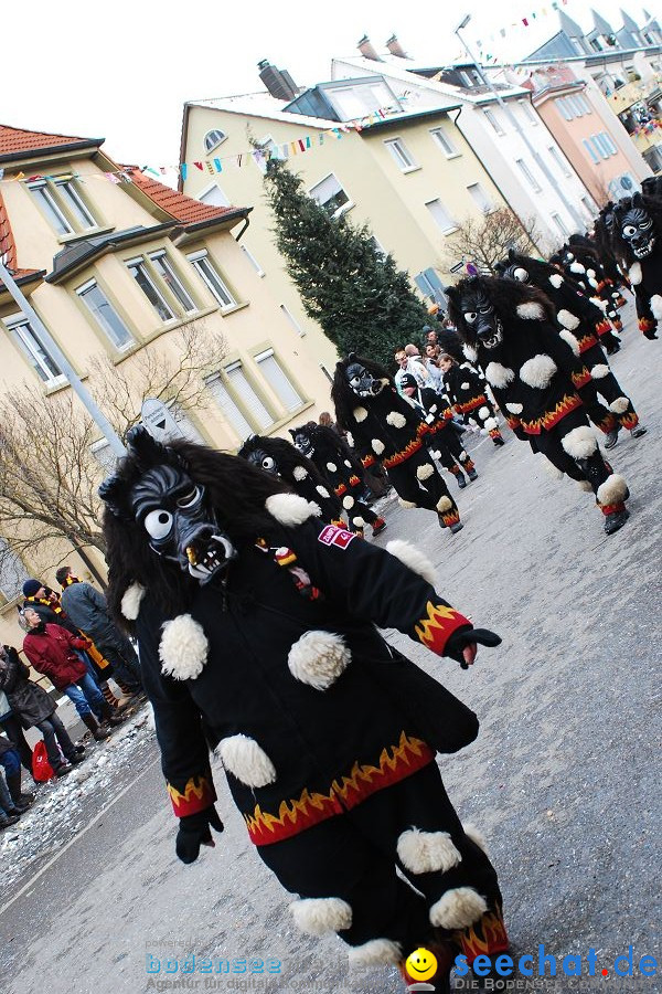 Narrensprung 2010, Friedrichshafen, 13.02.2010