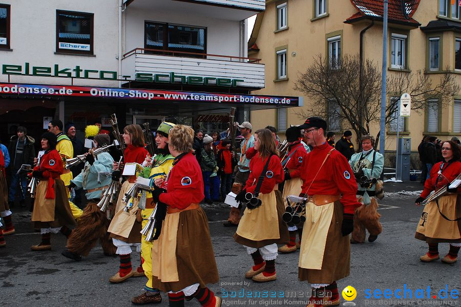 Narrensprung 2010, Friedrichshafen, 13.02.2010