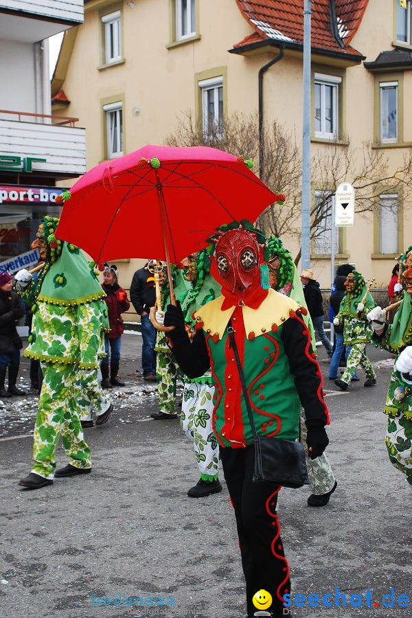 Narrensprung 2010, Friedrichshafen, 13.02.2010