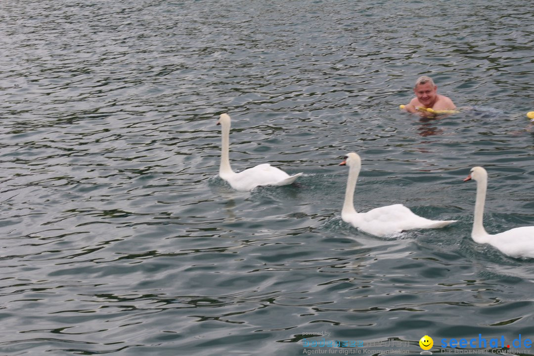 54. Zuercher Limmatschwimmen: Zuerich - Schweiz, 18.08.2018