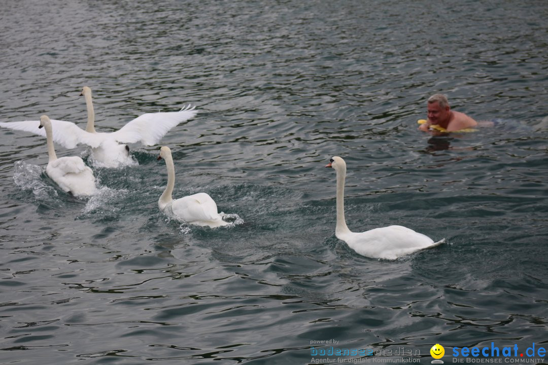 54. Zuercher Limmatschwimmen: Zuerich - Schweiz, 18.08.2018