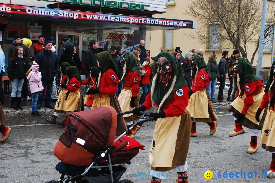 Narrensprung 2010, Friedrichshafen, 13.02.2010