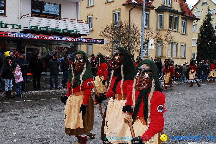 Narrensprung 2010, Friedrichshafen, 13.02.2010