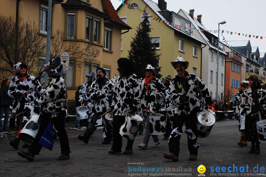 Narrensprung 2010, Friedrichshafen, 13.02.2010