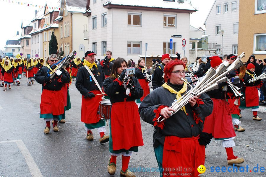 Narrensprung 2010, Friedrichshafen, 13.02.2010