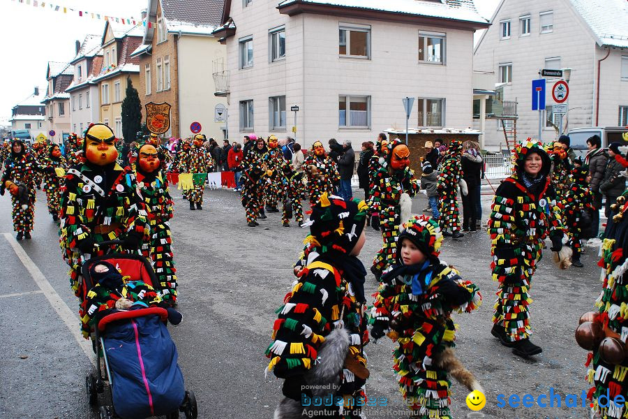 Narrensprung 2010, Friedrichshafen, 13.02.2010