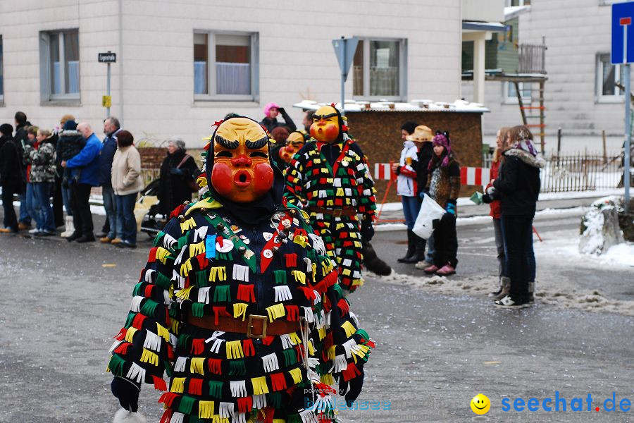 Narrensprung 2010, Friedrichshafen, 13.02.2010