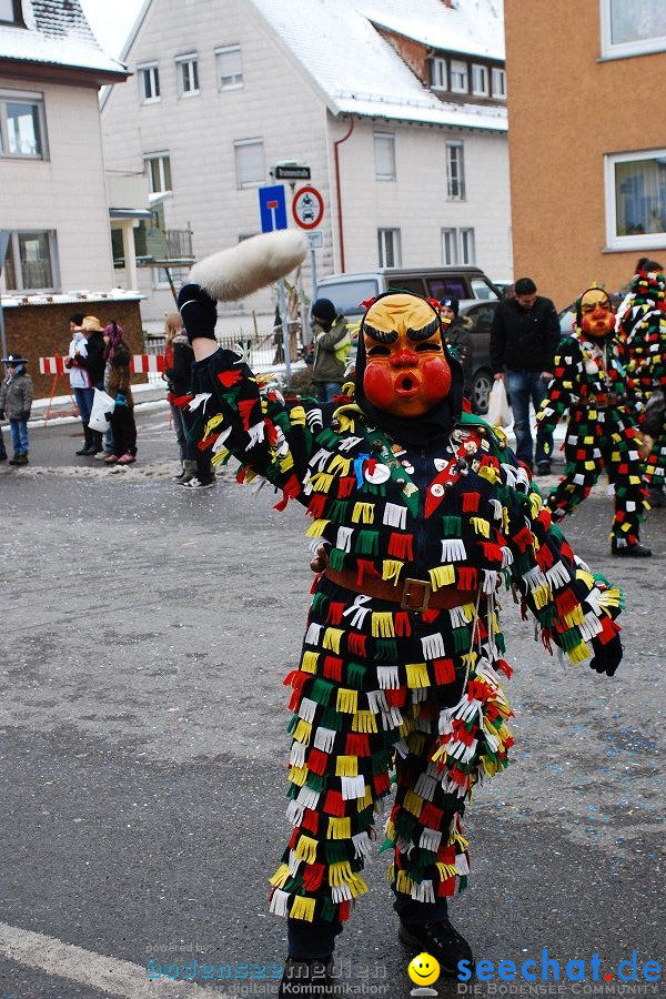 Narrensprung 2010, Friedrichshafen, 13.02.2010