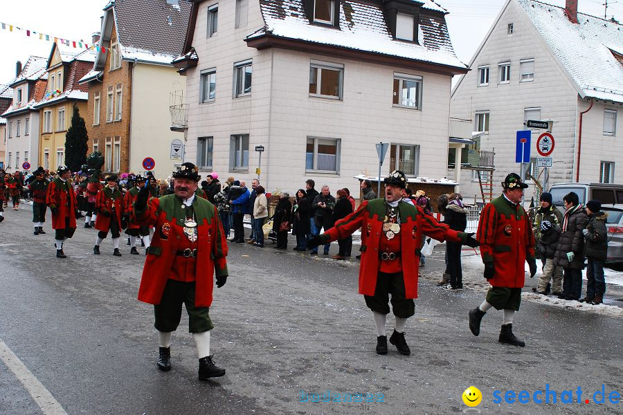 Narrensprung 2010, Friedrichshafen, 13.02.2010