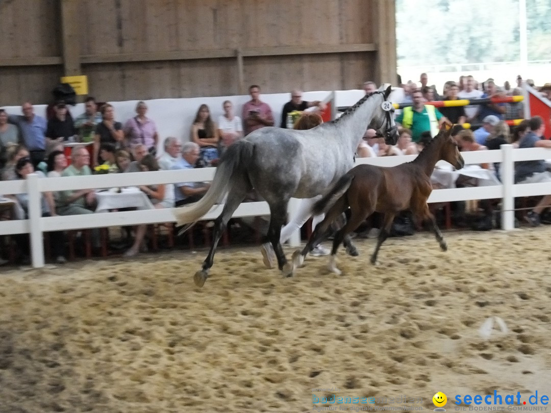 Fohlenmarkt: Riedlingen, 23.08.2018