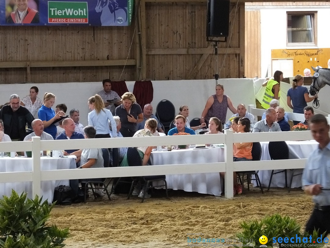 Fohlenmarkt: Riedlingen, 23.08.2018