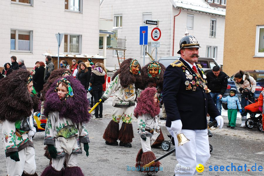 Narrensprung 2010, Friedrichshafen, 13.02.2010