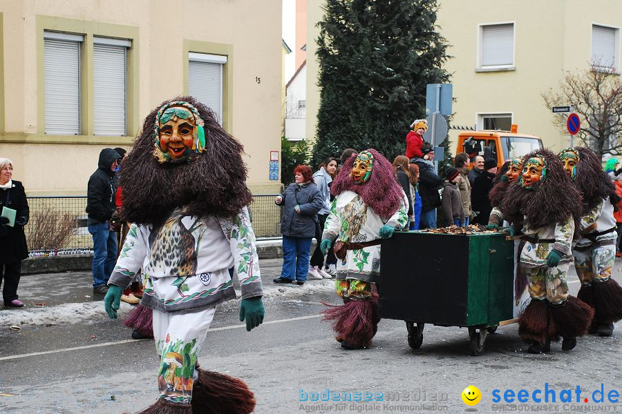 Narrensprung 2010, Friedrichshafen, 13.02.2010