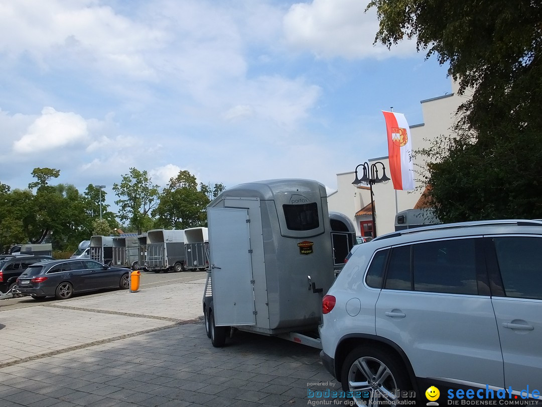 Fohlenmarkt: Riedlingen, 23.08.2018