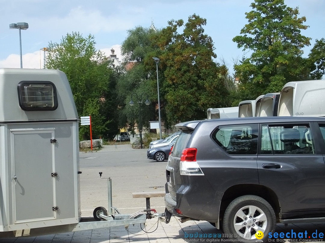 Fohlenmarkt: Riedlingen, 23.08.2018