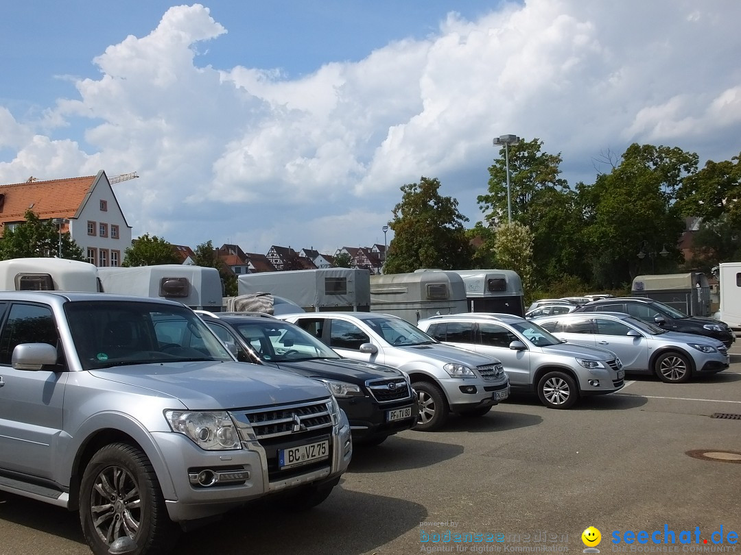 Fohlenmarkt: Riedlingen, 23.08.2018