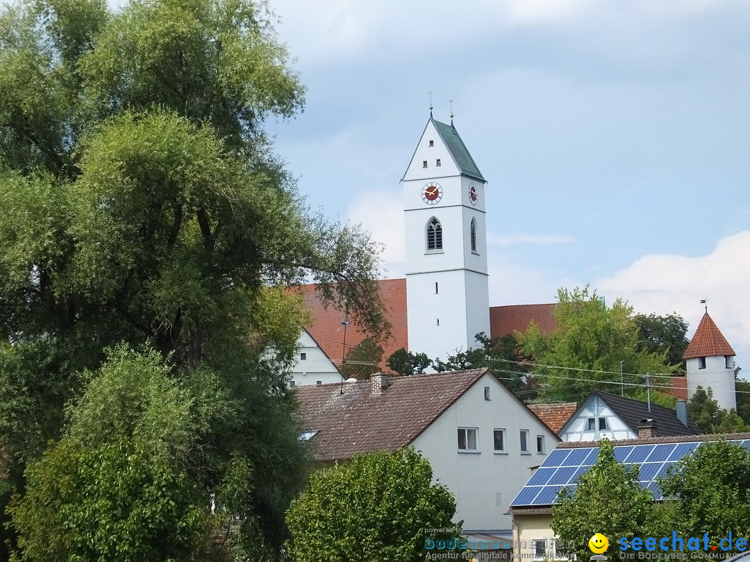 Fohlenmarkt: Riedlingen, 23.08.2018