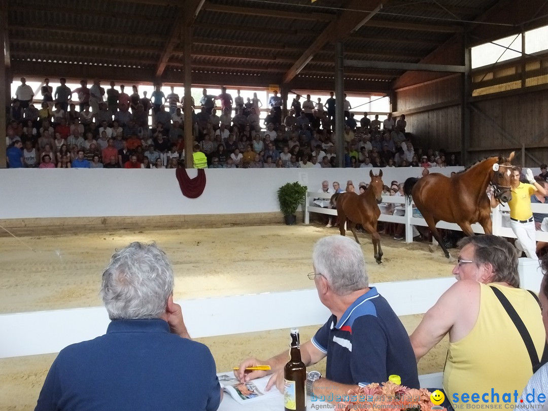 Fohlenmarkt: Riedlingen, 23.08.2018