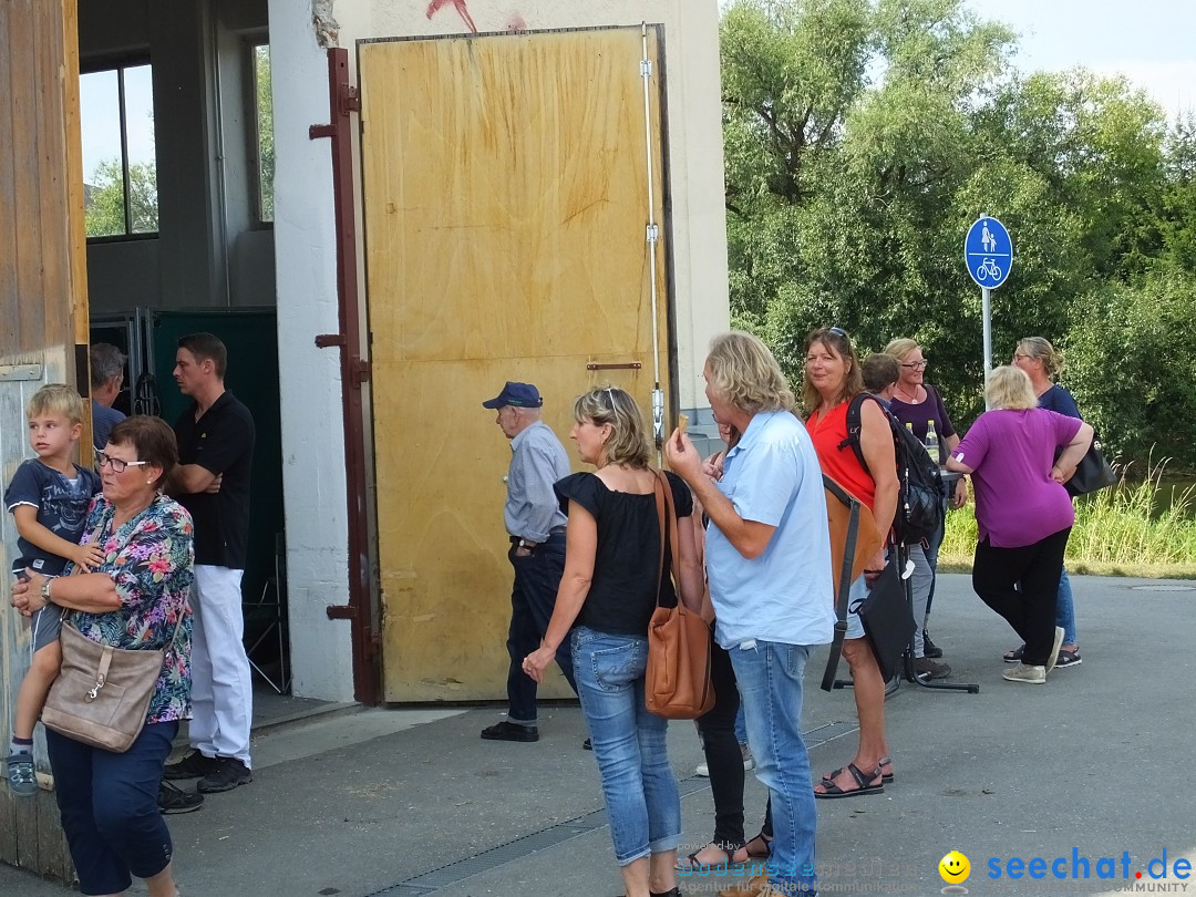 Fohlenmarkt: Riedlingen, 23.08.2018