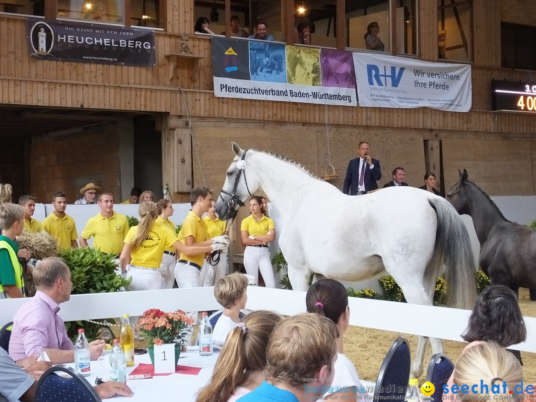 Fohlenmarkt: Riedlingen, 23.08.2018