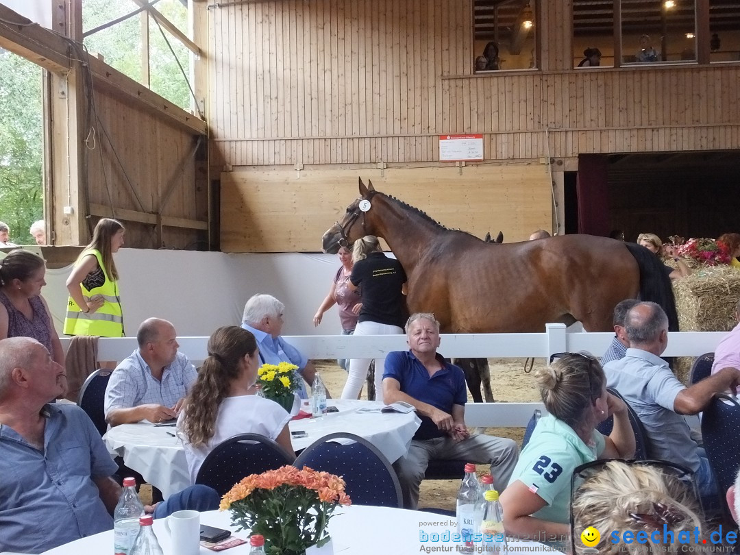 Fohlenmarkt: Riedlingen, 23.08.2018