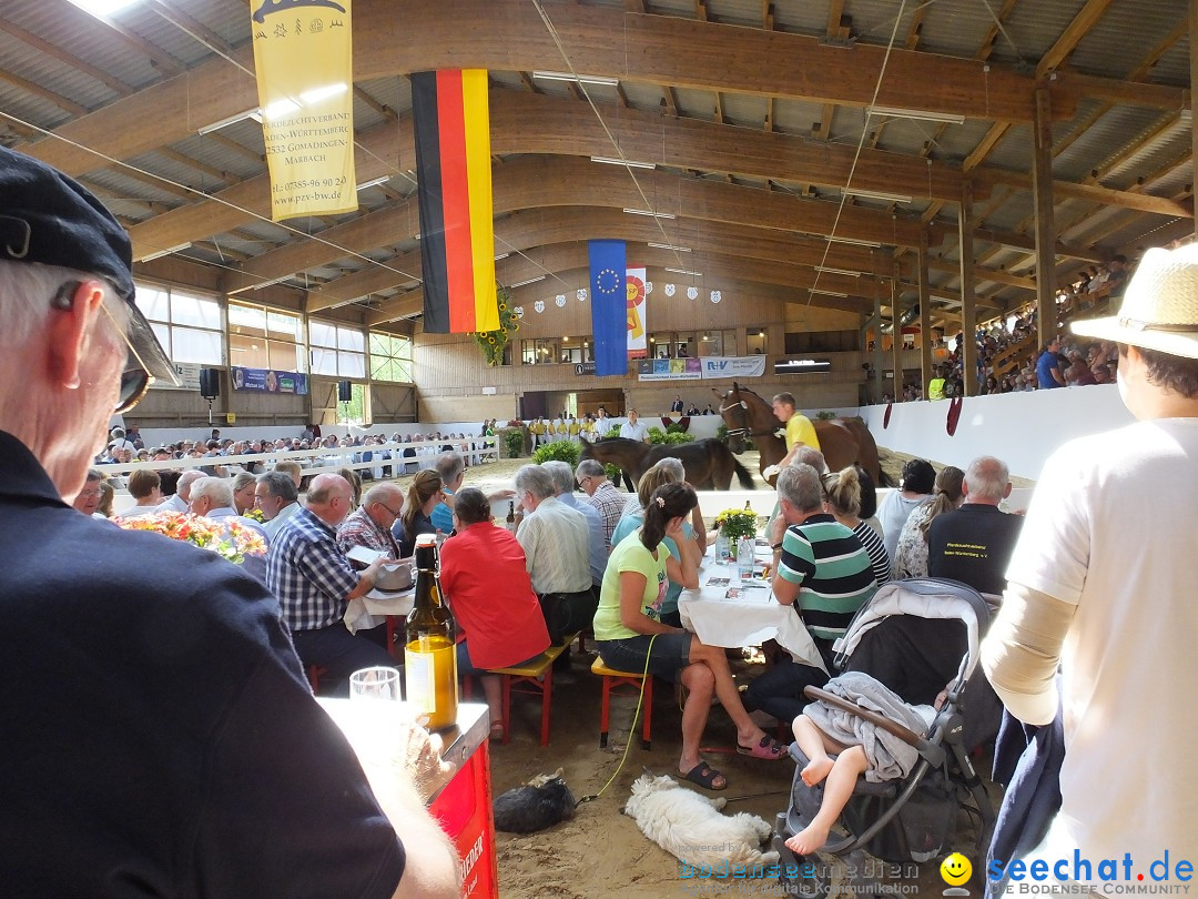 Fohlenmarkt: Riedlingen, 23.08.2018