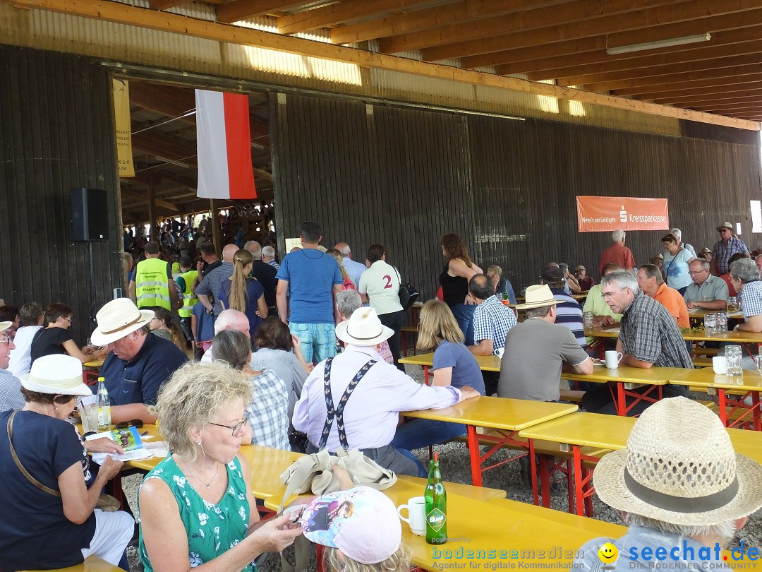 Fohlenmarkt: Riedlingen, 23.08.2018